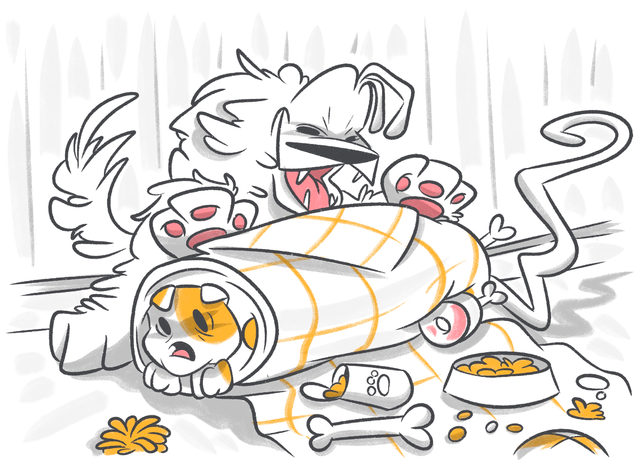 How to Fatten Up My Dog?