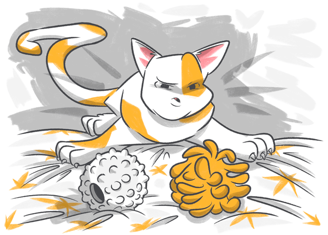 Comparison of Petcube Emergency Fund & Nationwide Pet Insurance