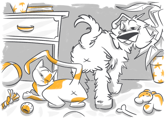 Can My Dog Get Hemorrhoids?