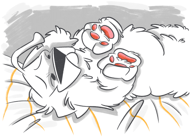 Why Are My Dog's Paws Red?