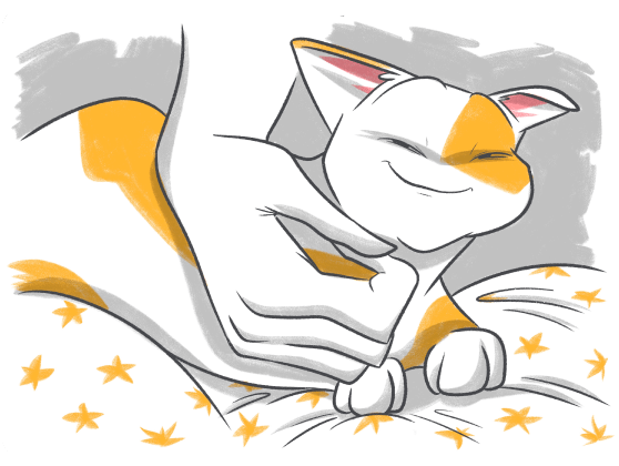 How to Know If Your Cat Loves You