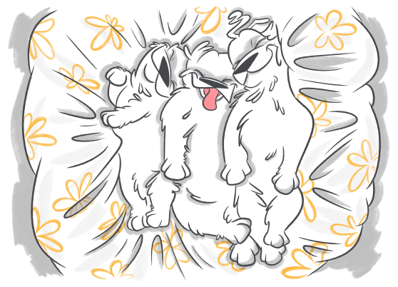 Puppy Care 101: A Guide for the First Time Puppy Parent