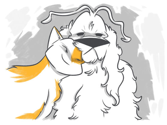 8 Useful Tips on How to Care for a Senior Dog