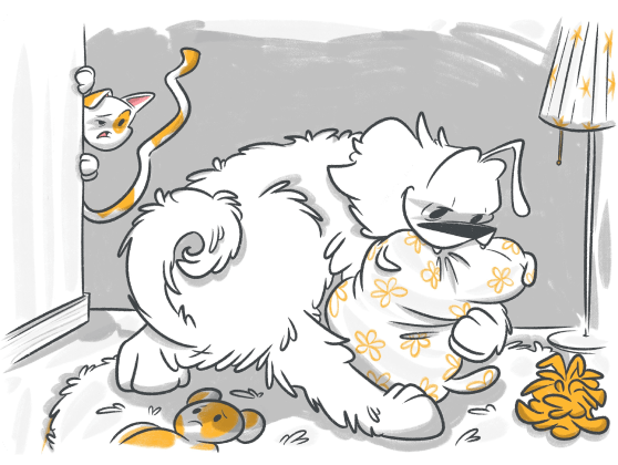 Different Dog Behaviors And What They Mean