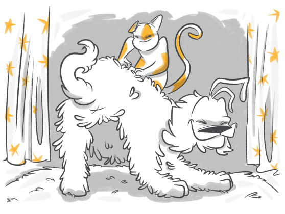 Where Do Dogs Like To Be Pet?