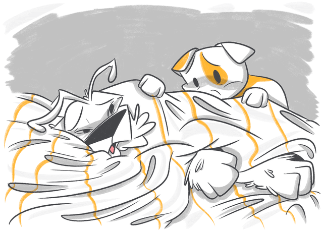 Hernias in Dogs: What You Need to Know