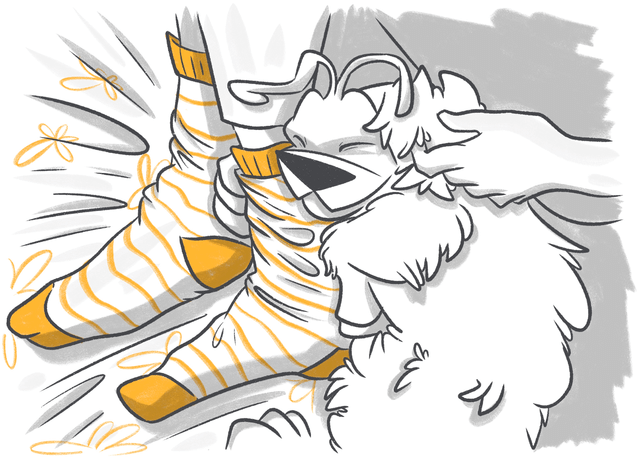 Why Does My Dog Sit, Sleep, or Lie on My Feet?