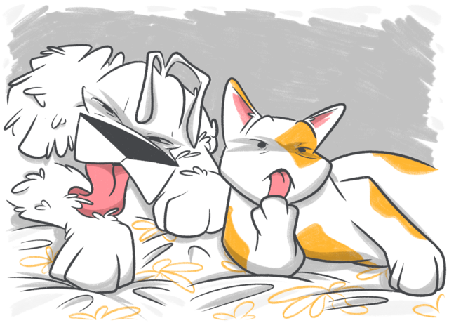 What You Should Know About Pododermatitis in Dogs & Cats