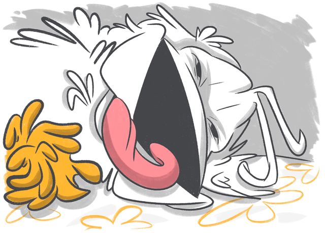 Why Does My Dog Have a Wet Nose?