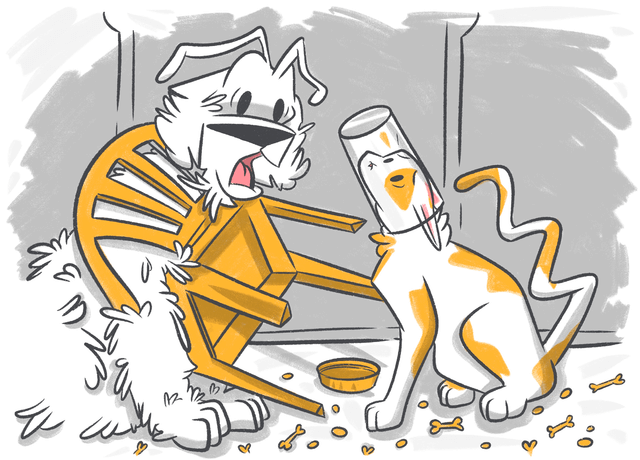 When Help Can’t Wait: How Petcube’s Emergency Fund Saves Pets in Crisis