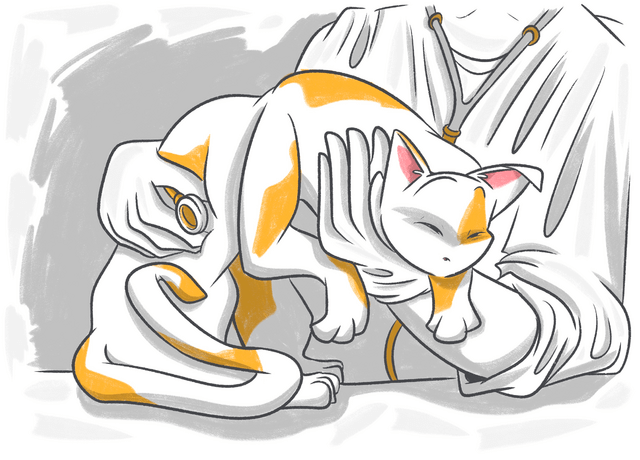 Monitoring Your Cat's Respiratory Rate