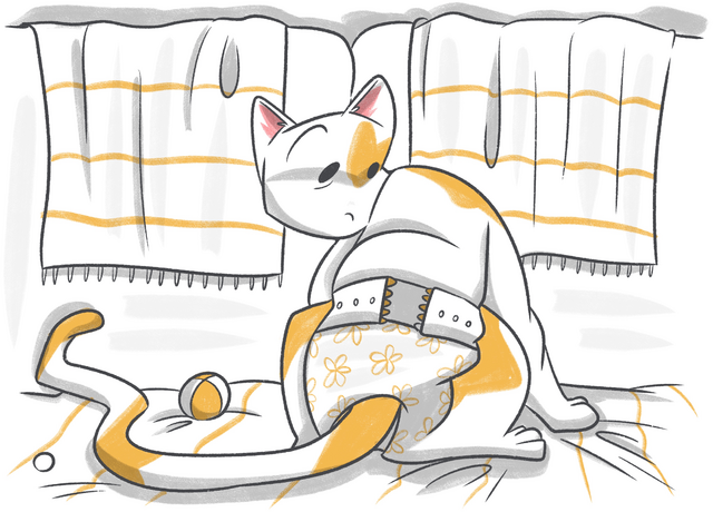 A Guide to Urinary and Bowel Incontinence in Cats