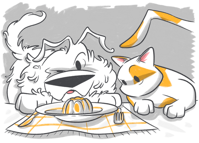 What to Feed a Dog with an Upset Stomach?