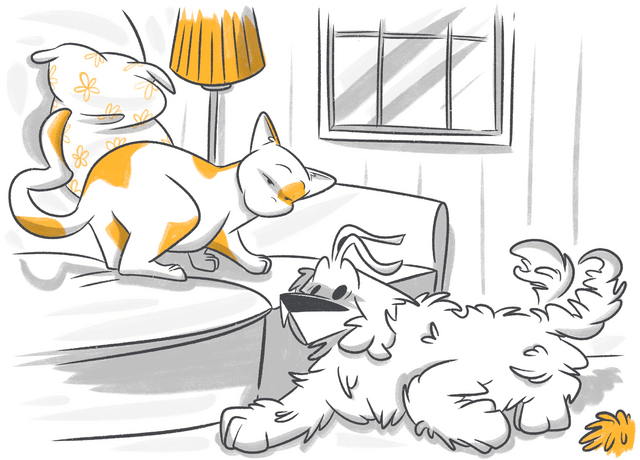 How To Be Your Dog’s Alpha Leader?