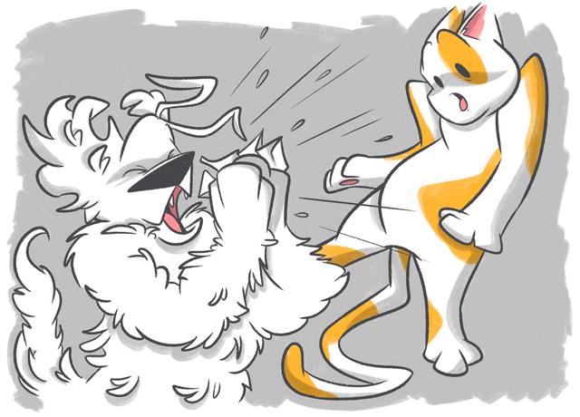 A Guide to Stuffy Noses in Dogs