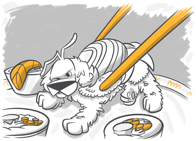 Can My Dog Eat Rice?