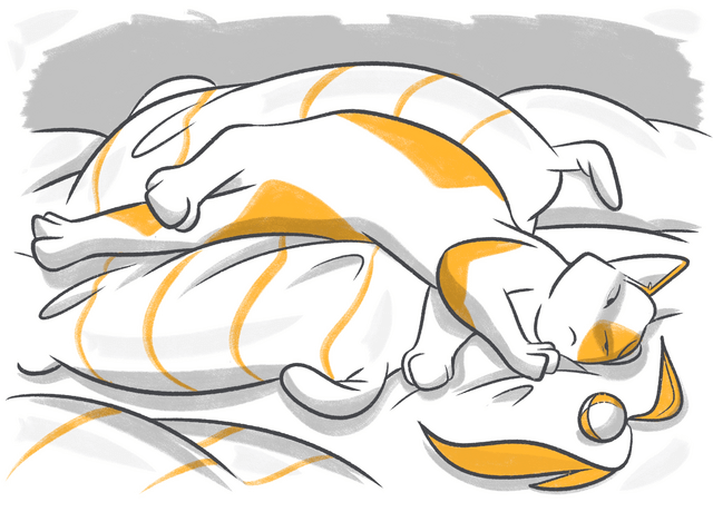 The Pet Parent’s Guide to Arrhythmias in Dogs and Cats