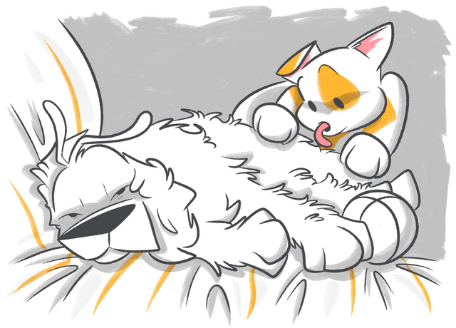 What Is Addison's Disease & How Does It Affect My Dog?