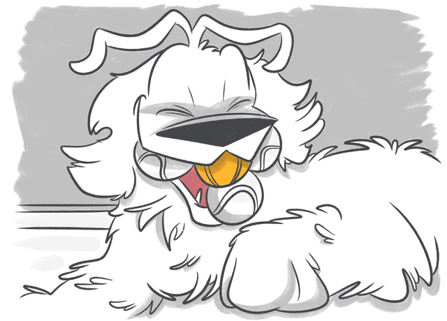 Petcube Emergency Fund vs ASPCA Pet Insurance