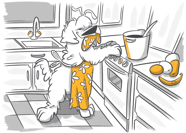 How Long Does It Take a Dog to Digest Food?