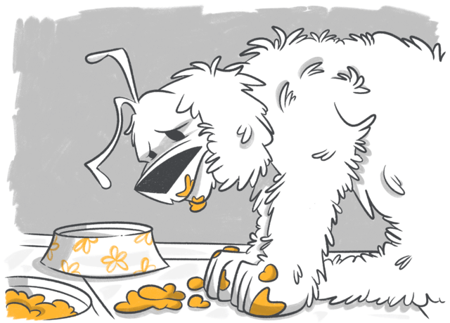 Why Is My Dog Throwing Up Blood?