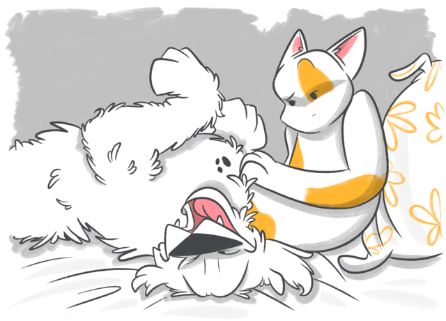 What’s That Black Spot on My Dog’s Skin?