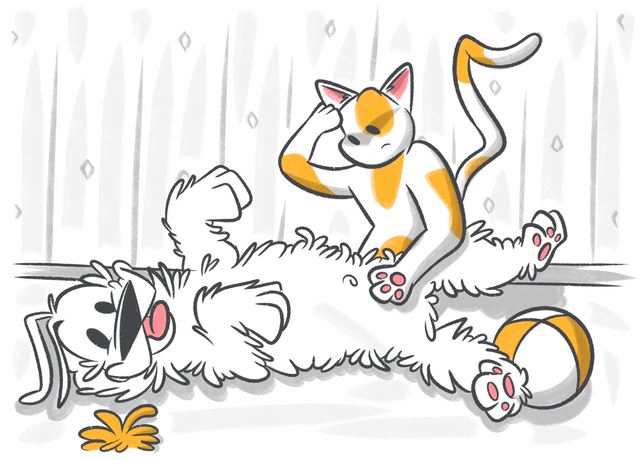 Do Dogs Have Belly Buttons?