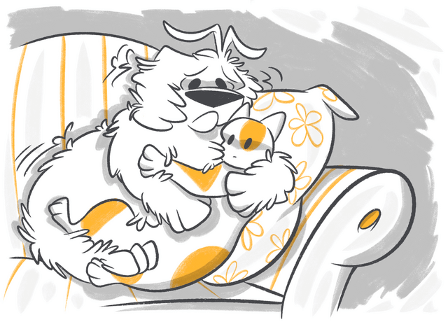 How to Comfort a Dog in Pain?