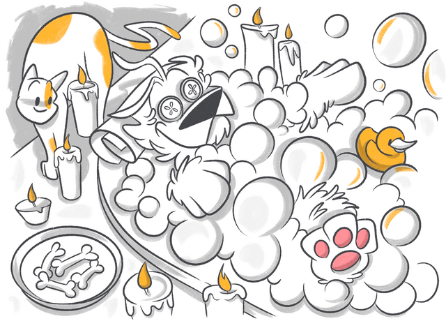 What to Do if My Dog Has Dry Skin?