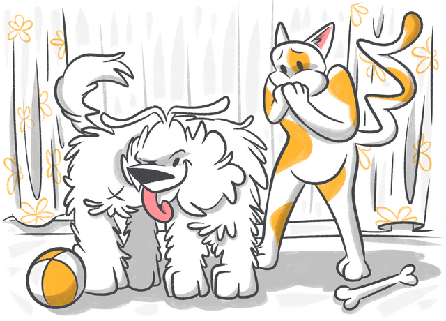 Why Do Dogs Lick Their Butts?