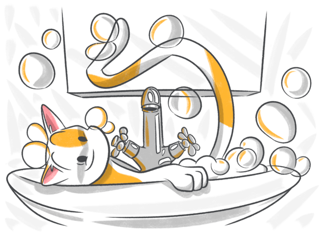 How to Treat Dry Skin in Cats?