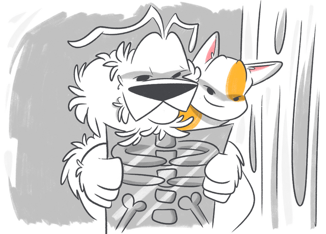 How Does Pet Insurance Work?