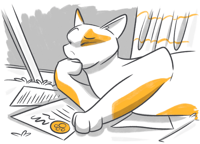 Petcube Emergency Fund vs Pawp Pet Insurance