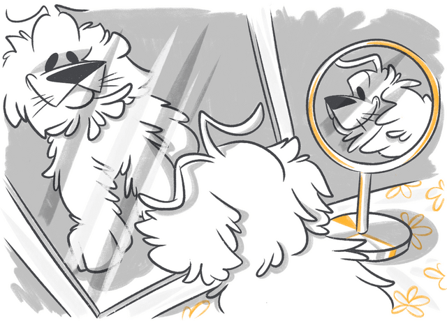 4 Common Questions About Dog Whiskers