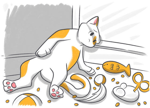 Distemper in Cats: An Essential Guide