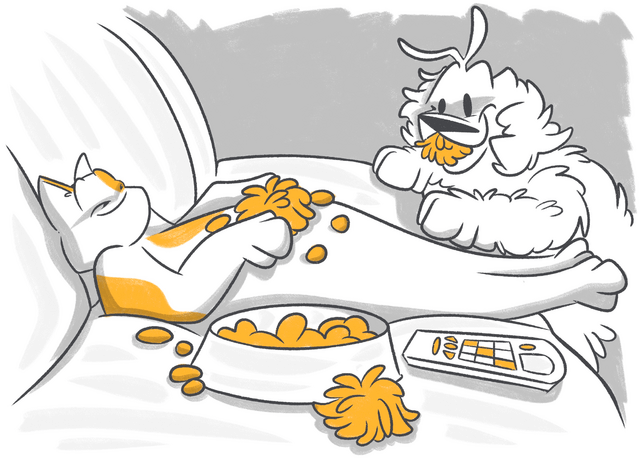 Do Cats Get Lonely When You Go to Work?