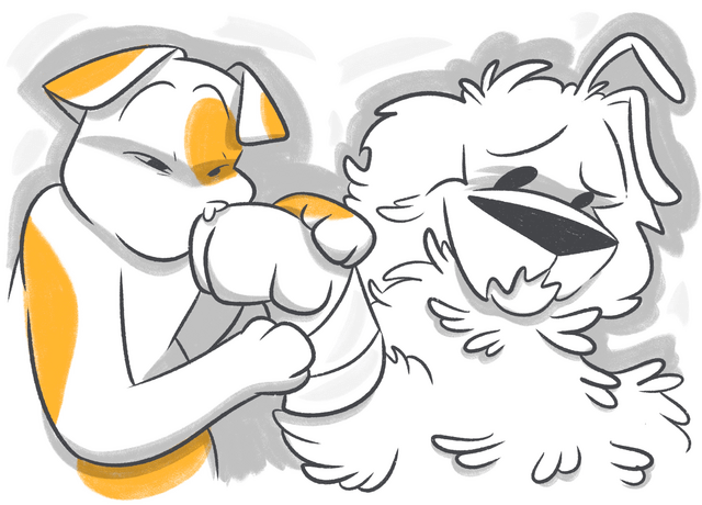 First Aid for Broken Nails on Dogs