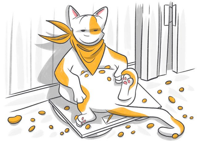 Is My Cat Overweight?