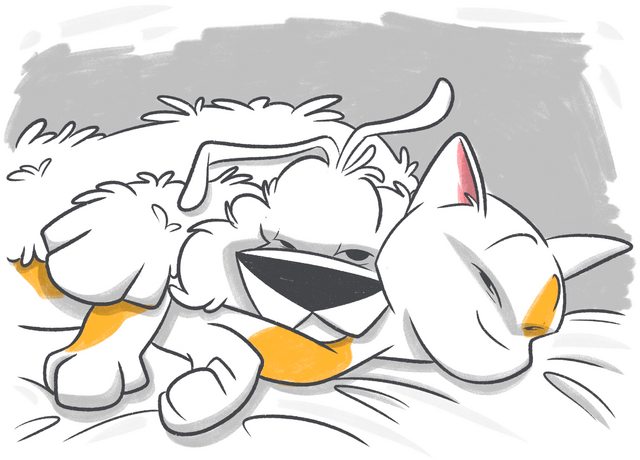 Natural Remedies for Cat Seizures