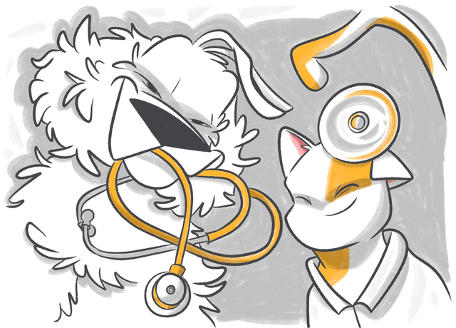 Comparison of Petcube Emergency Fund & Lemonade Pet Insurance