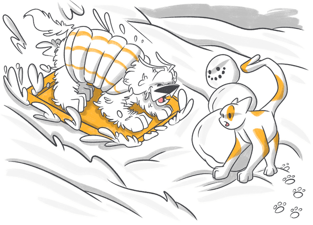 How to Keep Dogs Active in Winter?