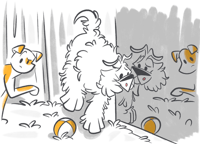 Understanding Histiocytoma in Dogs