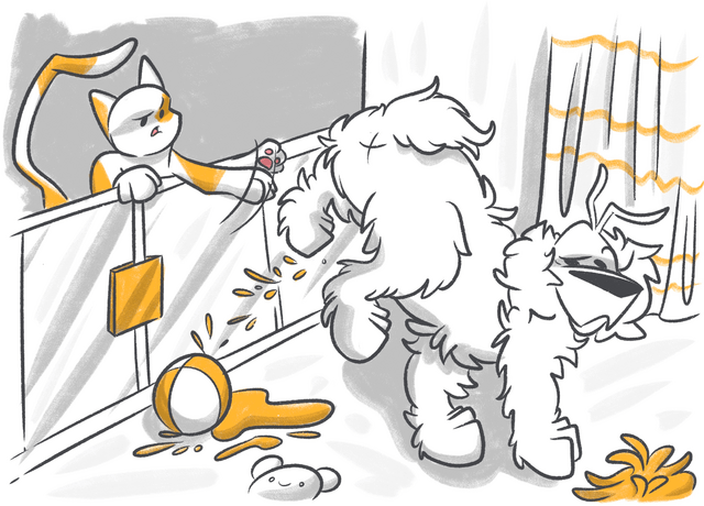 How to Stop a Dog from Marking?