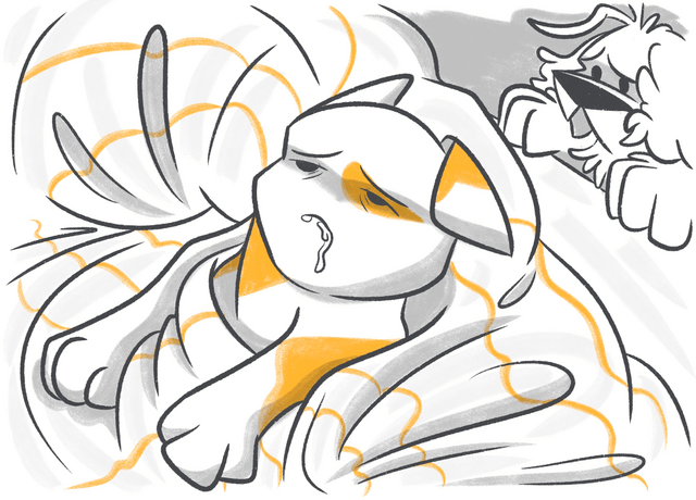 Why Is My Cat Foaming at the Mouth?