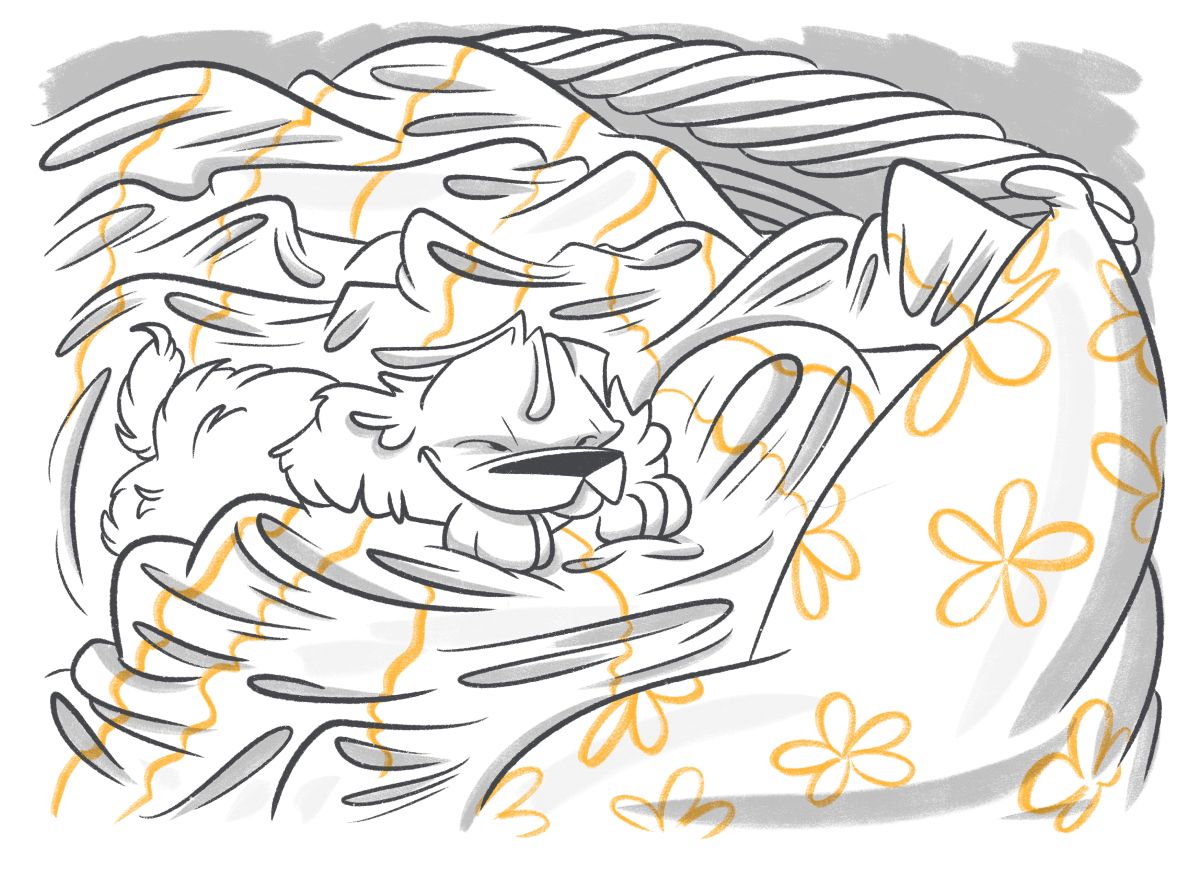 5 Types of Dog Eye Discharge