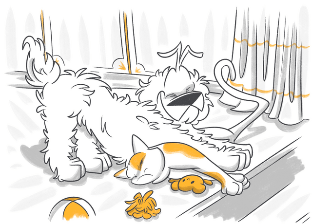 Why Is My Dog Stretching a Lot?