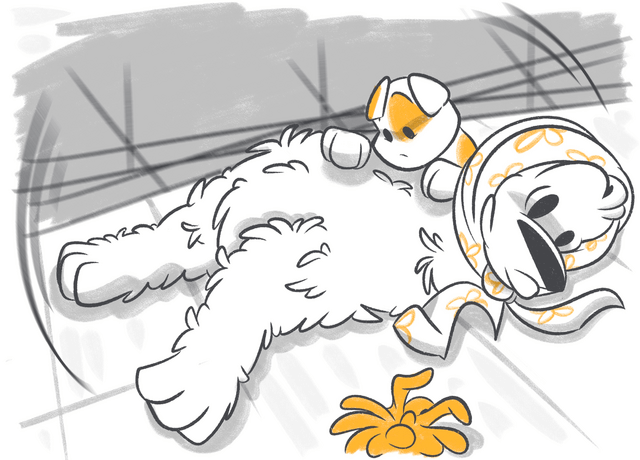 Can Dogs Get Concussions?