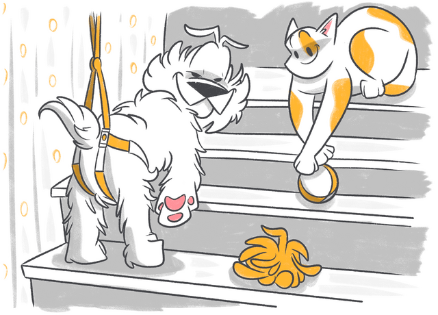 Back Leg Weakness in Dogs