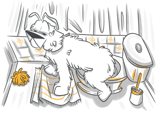 Crystals in Dog Urine