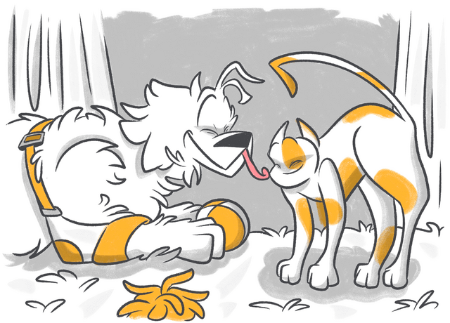 Dog Elbow Callus: What You Need to Know!